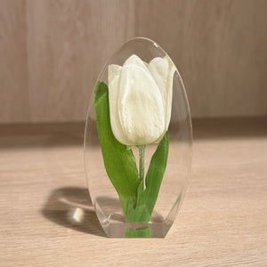 Mini Paperweights (Add On Only)