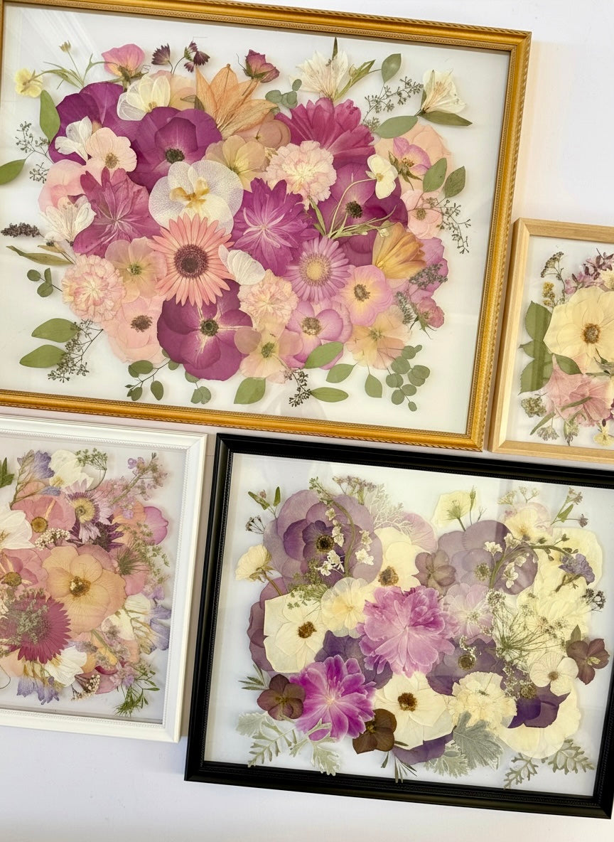 Upgrade Frame/UV Glass Only